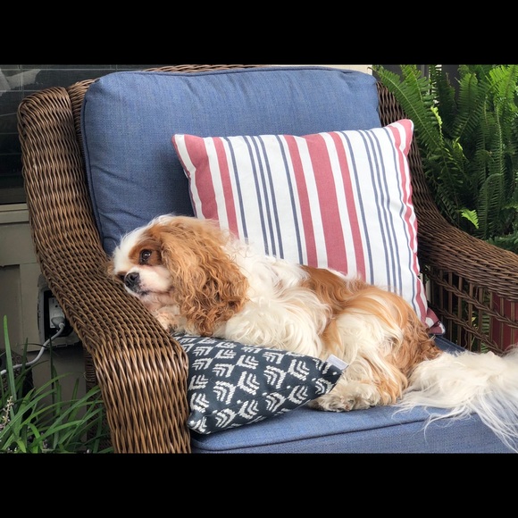 Meet your Posher, Jeff - Picture 6 of 8